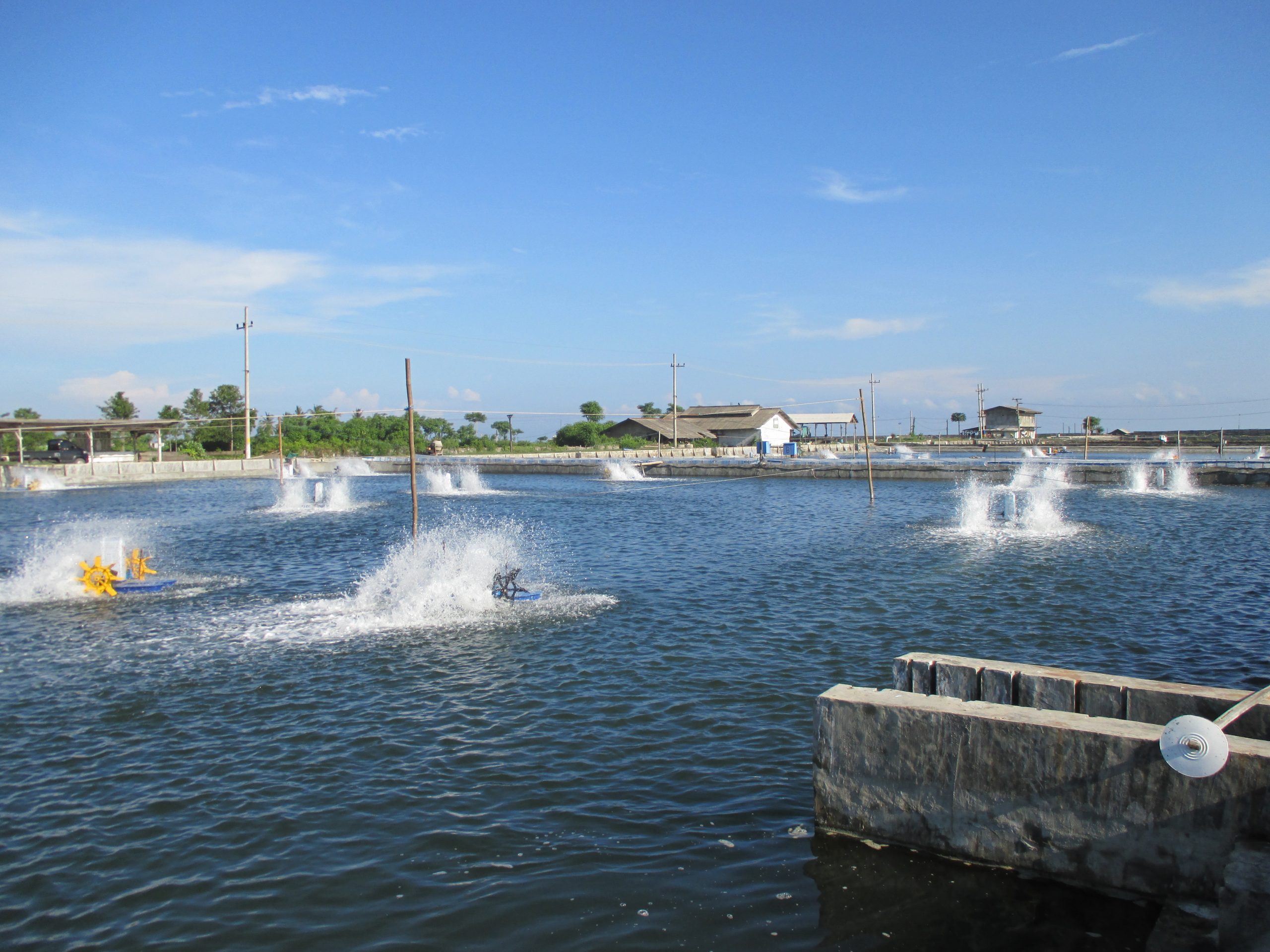 Jual Kincir Air Tambak Murah