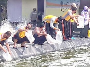 Mengenal Jenis Kolam Tambak Dengan Tingkat Padat Tebarnya