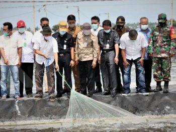 Pemerintah Akan Bantu Pengembangan Budidaya Tambak Udang