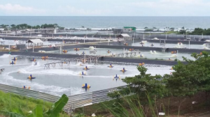 tambak udang intensif